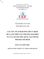 CÁC YẾU TỐ ẢNH HƯỞNG đến ý ĐỊNH MUA SẮM TRÊN SÀN THƯƠNG MẠI ĐIỆN TỬ CỦA NGƯỜI TIÊU DÙNG TẠI THÀNH PHỐ HỒ CHÍ MINH 