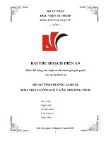 Bài thu hoạch diễn án hình sự hồ sơ 02: Cố ý gây thương tích