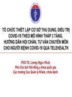 TỔ CHỨC THIẾT LẬP CƠ SỞ THU DUNG, ĐIỀU TRỊ COVID-19 THEO MÔ HÌNH THÁP 3 TẦNG, HƯỚNG DẪN HỘI CHẨN, TƯ VẤN CHUYÊN MÔN CHO NGƯỜI BỆNH COVID-19 QUA TELEHEALTH