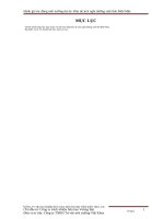 Báo cáo đánh giá tác động môi trường