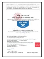 BẢN CÁO BẠCH CHÀO BÁN CỔ PHẦN RA CÔNG CHÚNG CÔNG TY CỔ PHẦN TẬP ĐOÀN HÒA PHÁT