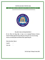 Phân tích thông điệp và công cụ của campaign“moderate drinkers wanted” (những người biết uống chừng mực mới quyến rũ), trên môi trường internet của thương hiệu bia heineken thuộc ngành hàng bia