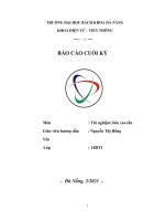 Báo cáo cuối kỳ môn thí nghiệm siêu cao tần