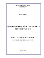 Đường chính khúc và đường tiệm cận trên mặt trong e3  