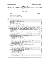 Hoàn thiện công tác kế toán bán hàng và xác định kết quả tiêu thụ hàng hoá tại công ty cổ phần thương mại   dịch vụ hà tĩnh  