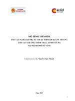 MÔ HÌNH THÍ ĐIỂM ĐÀO TẠO NGHỀ CHO PHỤ NỮ THUỘC NHÓM DỄ BỊ TỔN THƯƠNG TIẾP CẬN CHƯƠNG TRÌNH VIỆC LÀM BỀN VỮNG TẠI THÀNH PHỐ ĐÀ NẴNG