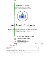 Đề tài nghiên cứu và sản xuất sản phẩm mít sấy dẻo bằng phương pháp tự nhiên 