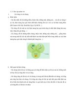 6 cặp phạm trù cơ bản