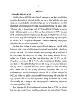 Nghiên cứu phân lập và tác dụng điều trị bệnh đái tháo đường type 2 của các hoạt chất sinh học từ một số loại thực vật thu hái tại miền trung TT 