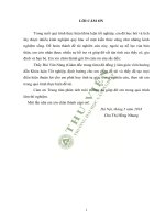 KHÓA LUẬN TỐT NGHIỆP Tên khóa luận “Nghiên cứu các điều kiện biến tính than hoạt tính từ cây Chuối ”