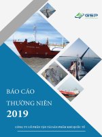 BÁO CÁO THƯỜNG NIÊN 2019 CÔNG TY CỔ PHẦN VẬN TẢI SẢN PHẨM KHÍ QUỐC TẾ