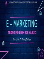 E MARKETING TRONG MÔ HÌNH b2b VÀ b2c 