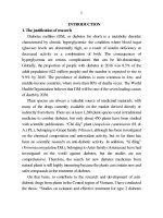 Nghiên cứu phân lập và tác dụng điều trị bệnh đái tháo đường type 2 của các hoạt chất sinh học từ một số loại thực vật thu hái tại miền trung TT TIENG ANH 