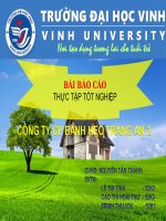 báo cáo thực tập công ty cổ phần bánh kẹo tràng an 2 