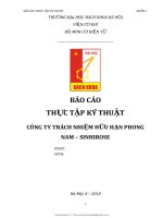Báo cáo thực tập kỹ thuật công ty trách nhiệm hữu hạn phong nam