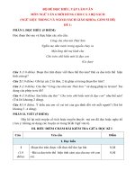 Bộ đề đọc hiểu, tập làm văn môn ngữ văn 6 mới 2021 2022 (dùng cho cả 3 bộ sách) 