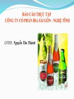 BÁO CÁO THỰC TẬP  CÔNG TY CỔ PHẦN BIA SÀI GÒN   NGHỆ TĨNH 