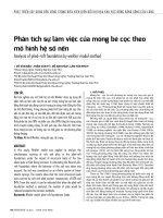 Phân tích sự làm việc của móng bè cọc theo mô hình hệ số nền