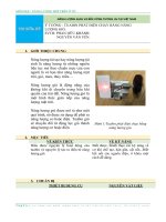 Báo cáo đề tài năng lượng mới trên ô tô sử dụng tuabin phát điện chạy bằng năng lượng gió