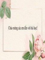 Giáo án trình chiếu ngữ văn 6 bài về thăm mẹ 