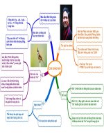 Giáo án trình chiếu ngữ văn 6, bài con chào mào 