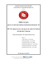 Quản trị rủi ro cho dự án sản xuất ô tô VinFast của tập đoàn Vingroup