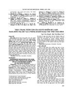 Thực trạng trầm cảm của người nhiễm HIV/AIDS đang điều trị ARV tại 2 phòng khám ngoại trú tỉnh Thái Bình