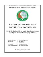 Lập kế hoạch kinh doanh thương mại điện tử cho một doanh nghiệp lữ hành.