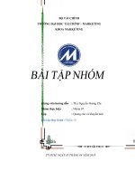 Bài tập nhóm môn quảng cáo và khuyến mãi 