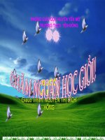 DAU NGOAC KEP CO ẢNH CAU LONG BIEN 