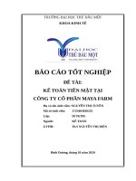 Kế toán tiền mặt tại công ty cổ phần maya farm 