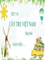 Giáo án điện tử bài cây tre việt nam (ngữ văn 6, sách kết nối tri thức   ) 