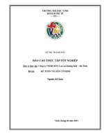 kế toán TSCĐ ở công ty TNHH MTV cao su hương khê – hà tĩnh’’  