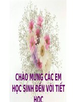 Giáo án trình chiếu ôn tập học kì 1 ngữ văn sách kết nối tri thức với cuộc sống 