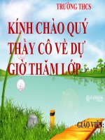 VIỆT NAM QUÊ HƯƠNG TA  