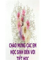 Giáo án ôn tập giữa học kì 1 (ngữ văn 6 cánh diều)