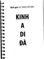 Kinh a di da 