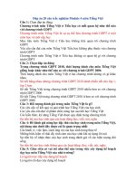 Dap an 20 cau trac nghiem modul 4 mon tieng viet 
