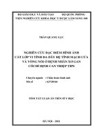 Nghiên cứu đặc điểm hình ảnh cắt lớp vi tính đa dãy hệ tĩnh mạch cửa và vòng nối ở bệnh nhân xơ gan có chỉ định can thiệp TIPS TT 