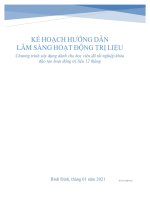 KẾ HOẠCH HƯỚNG DẪN  LÂM SÀNG HOẠT ĐỘNG TRỊ LIỆU Chương trình xây dựng dành cho học viên đã tốt nghiệp khóa đào tạo hoạt động trị liệu 12 tháng