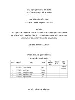 LÝ LUẬN CỦA v i LÊNIN VỀ CHỦ NGHĨA TƯ BẢN độc QUYỀN VÀ LIÊN HỆ VỚI SỰ PHÁT TRIỂN CỦA CÁC TẬP ĐOÀN đa QUỐC GIA HIỆN NAY (MNC), TẬP ĐOÀN XUYÊN QUỐC GIA (TNCS) 