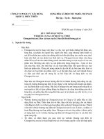 CÔNG TY CP ĐẦU TƯ XÂY DỰNG DỊCH VỤ PHÚC THIÊN  QUY CHẾ HOẠT ĐỘNG WEBSITE CUNG CẤP DỊCH VỤ TMĐT