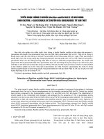 Tuyển chọn chủng vi khuẩn Bacillus subtilis NL812 có khả năng sinh enzyme β-glucosidase để chuyển hóa ginsenoside từ tam thất