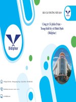 BÁO CÁO THƯỜNG NIÊN 2019 Công ty Cổ phần Dược – Trang thiết bị y tế Bình Định (Bidiphar)