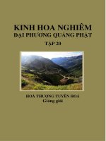 KINH HOA NGHIÊM ĐẠI PHƯƠNG QUẢNG PHẬT TẬP 20