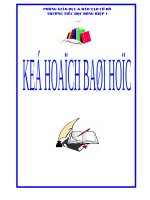 Tuan 14 VNEN tren nen SGK hien hanh