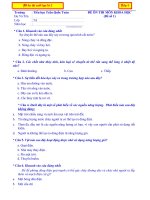 De on tap cuoi hoc ki 2 lop 5