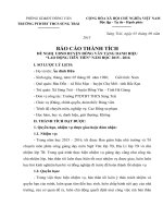 Bao cao thanh tich lao dong tien tien chuan 2016