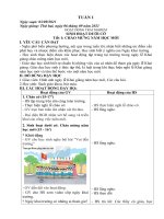 Giáo án lớp 2A - Tuần 1 năm học 2021-2022