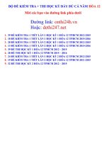 BO DE KIEM TRA HOA 12 CA NAM